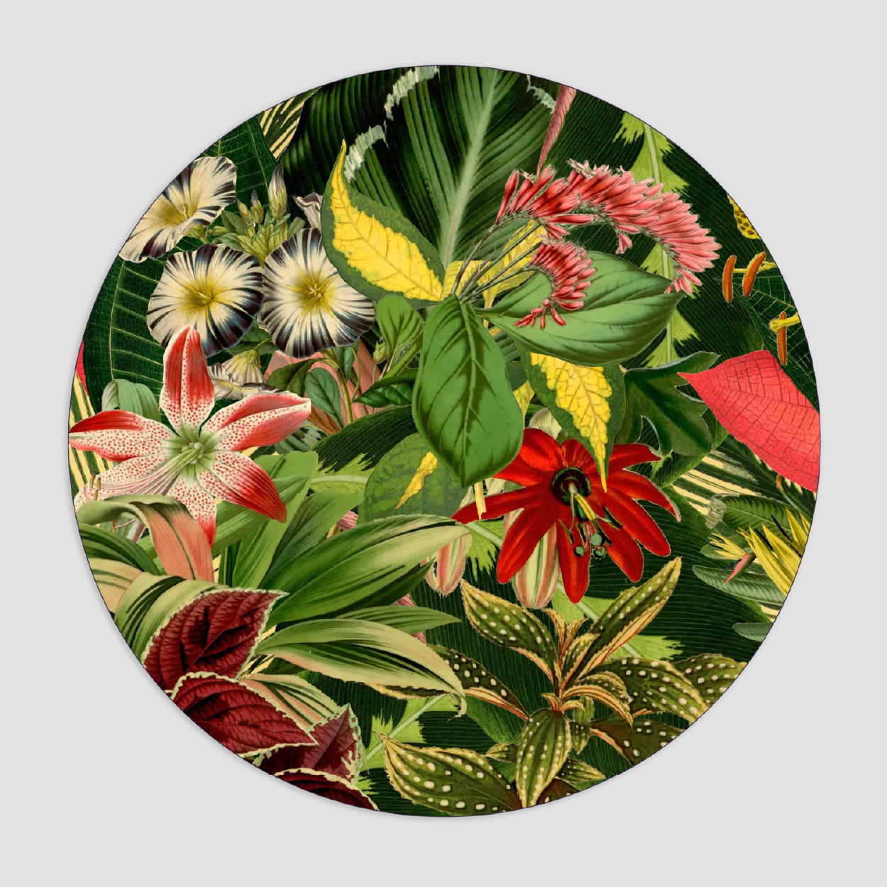 Herbarium of Extinct Plants Carpet