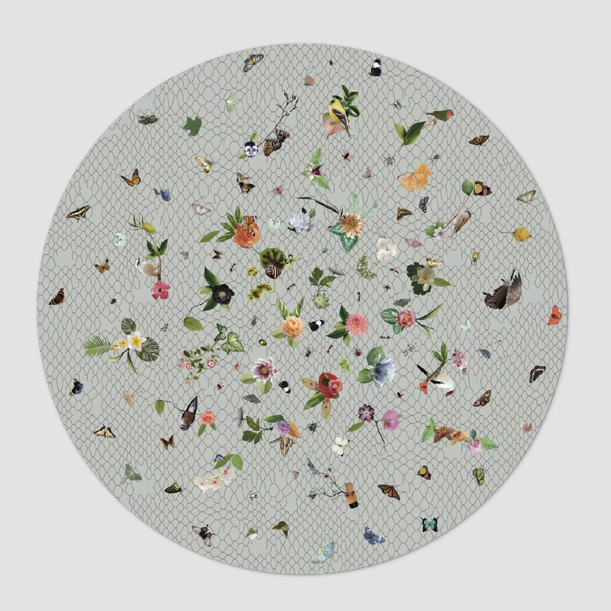 Garden of Eden Carpet