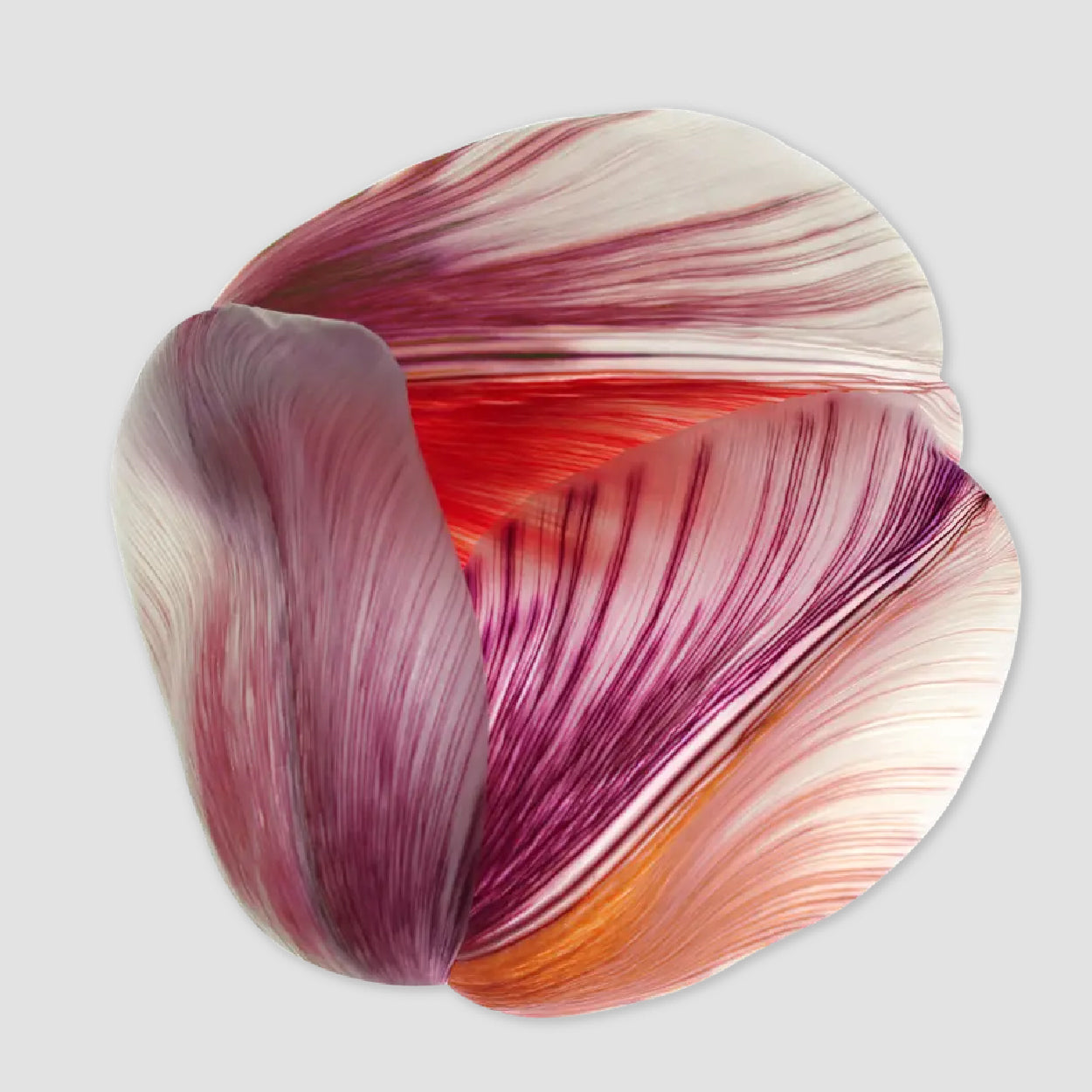Tulip Mania Carpet