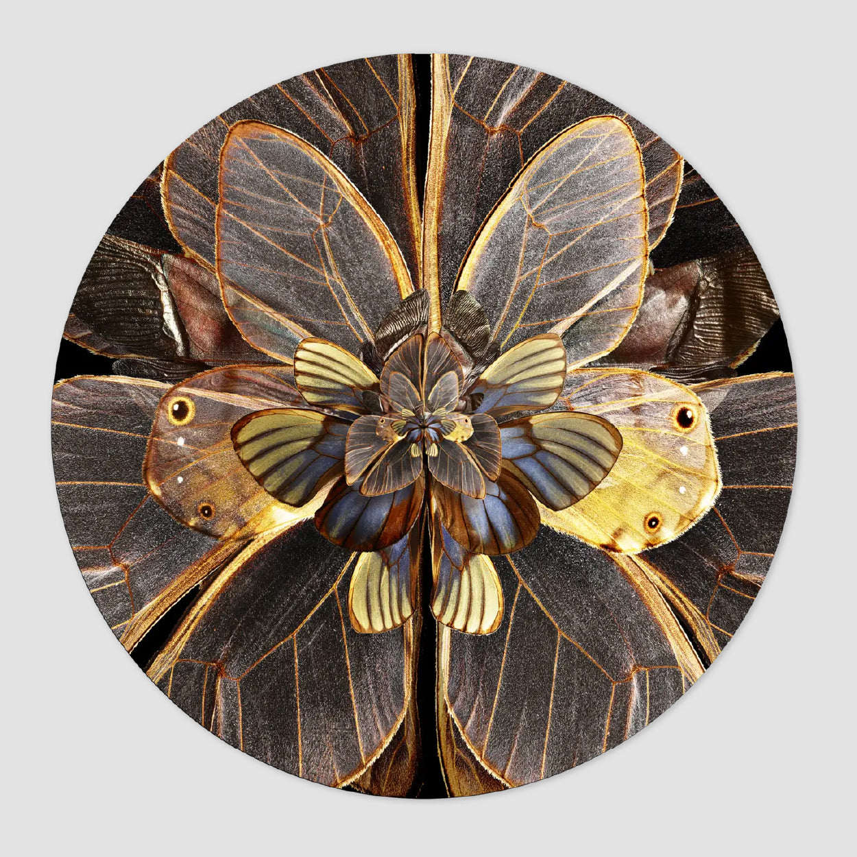 Mimesis Carpet