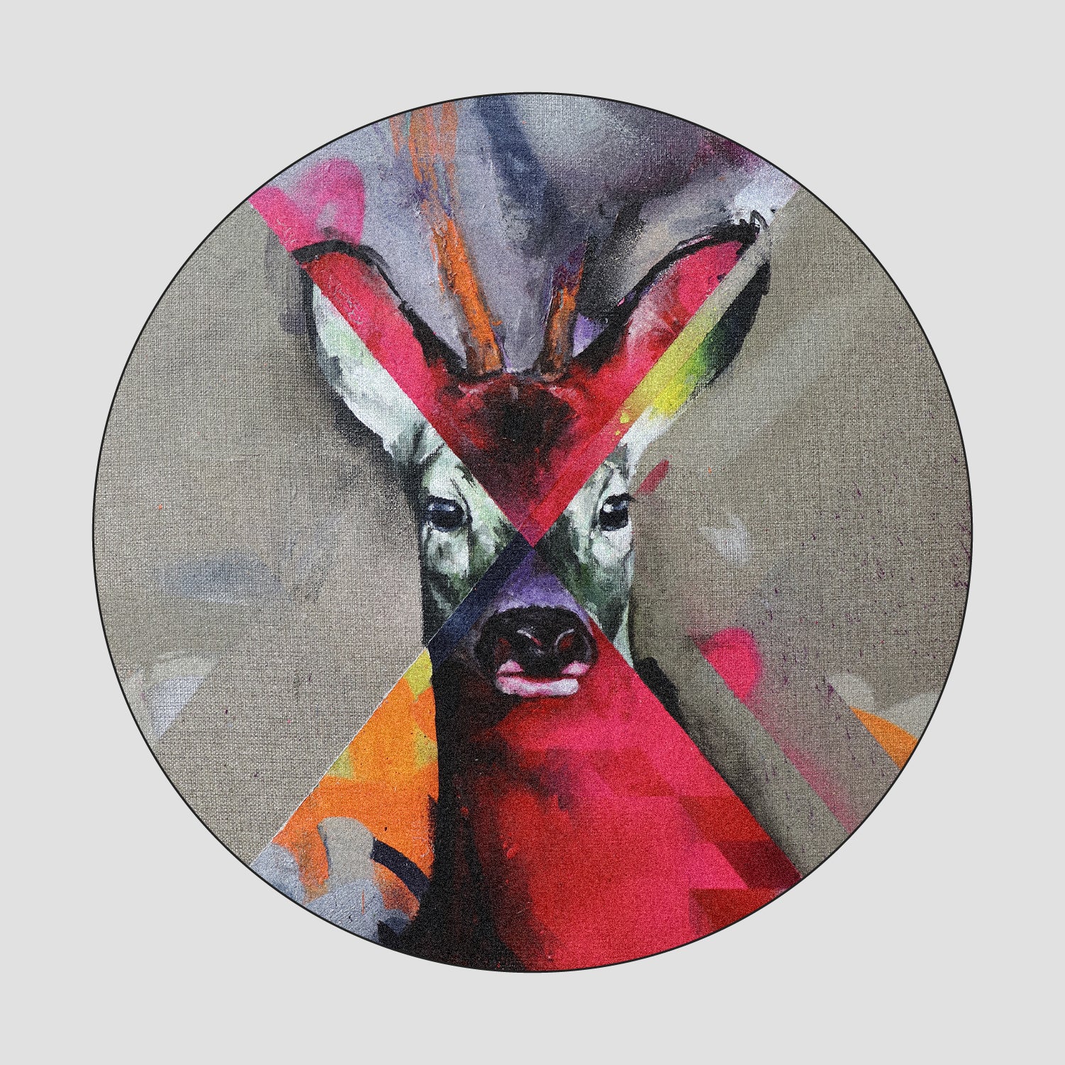 animal portraits