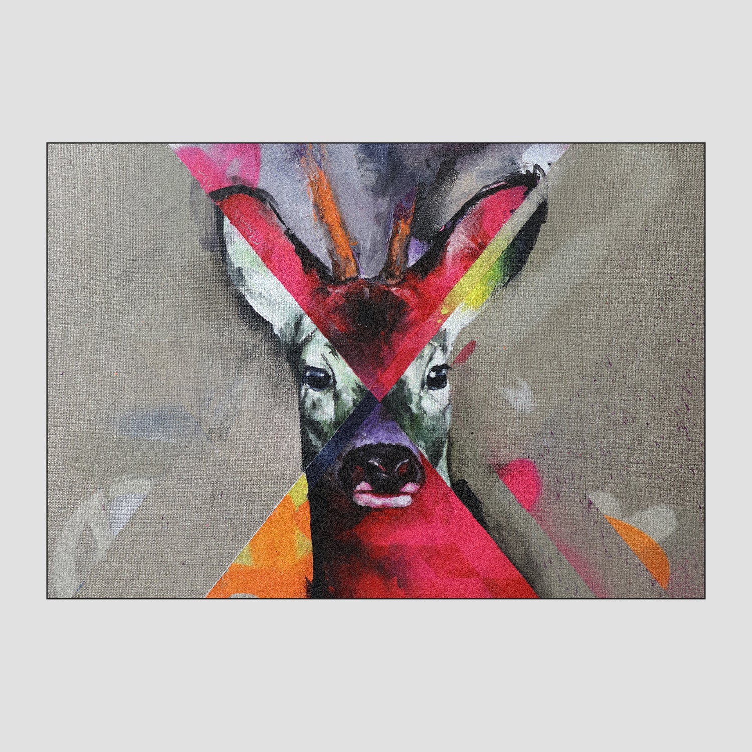 animal portraits