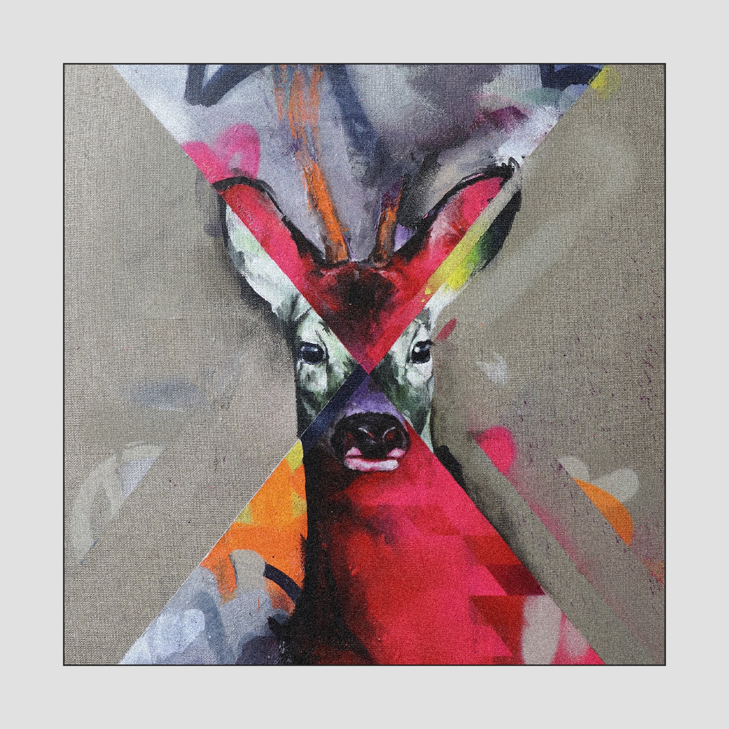 animal portraits
