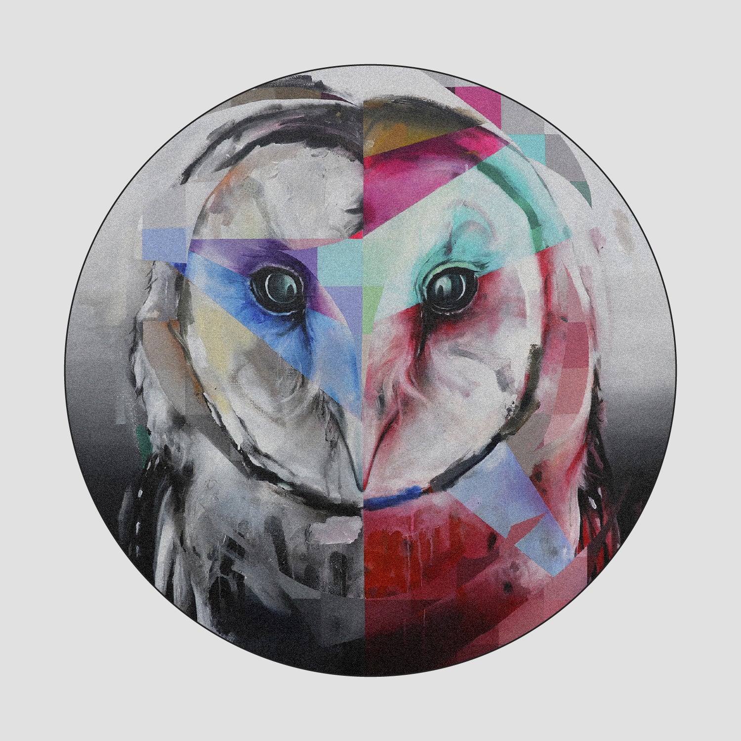animal portraits