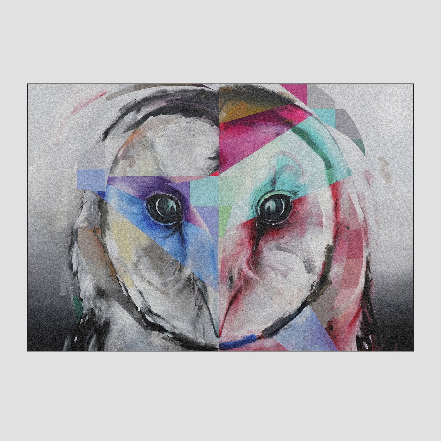 animal portraits