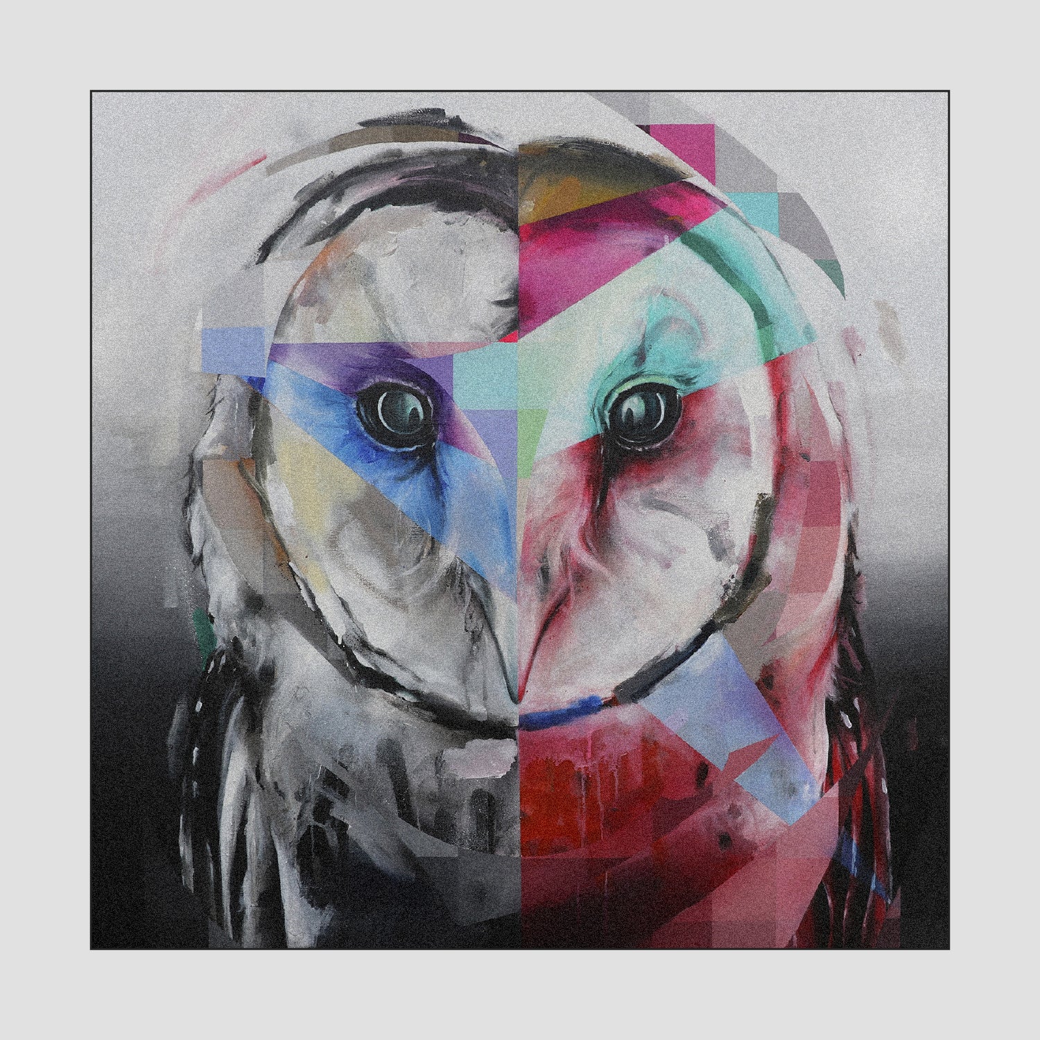 animal portraits
