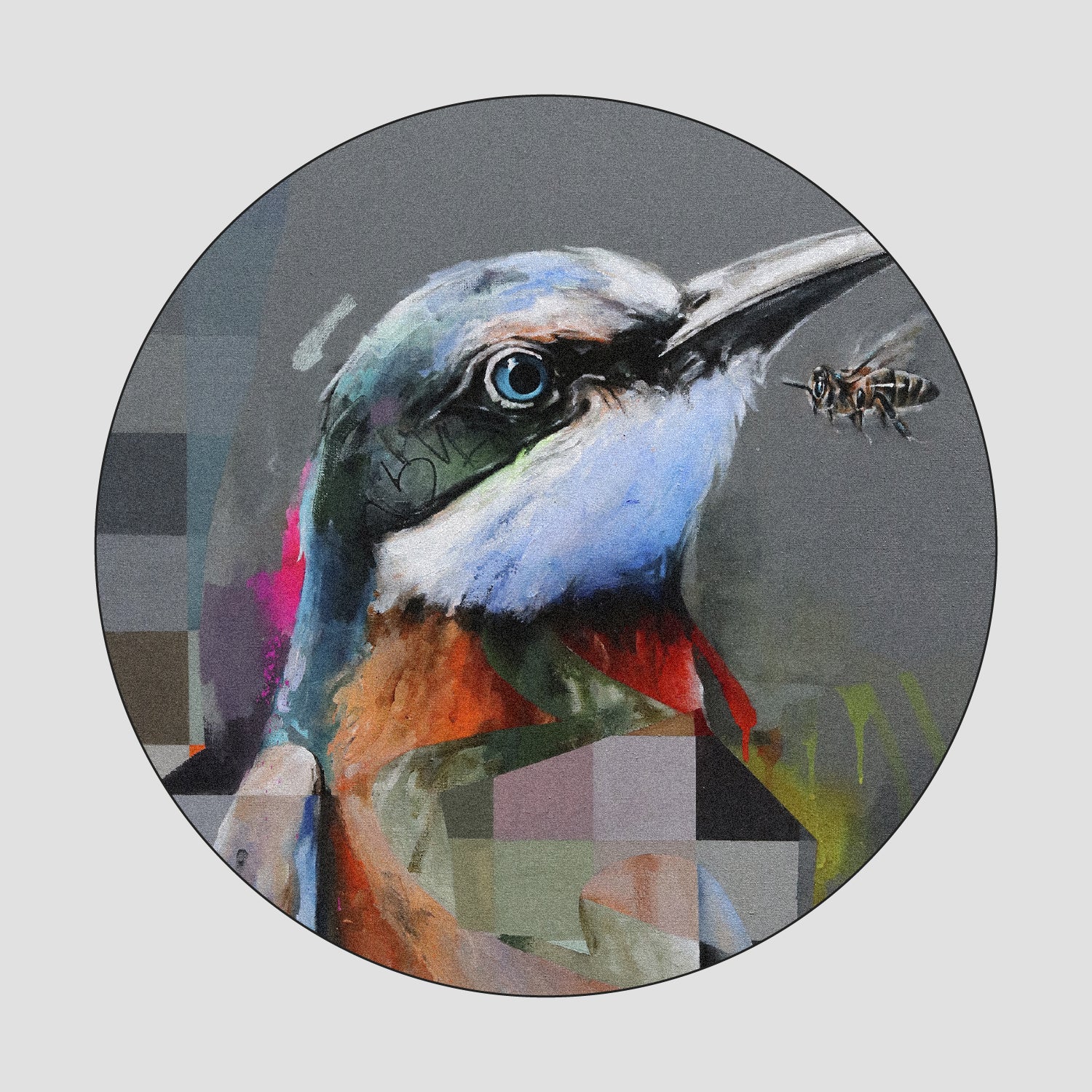 animal portraits