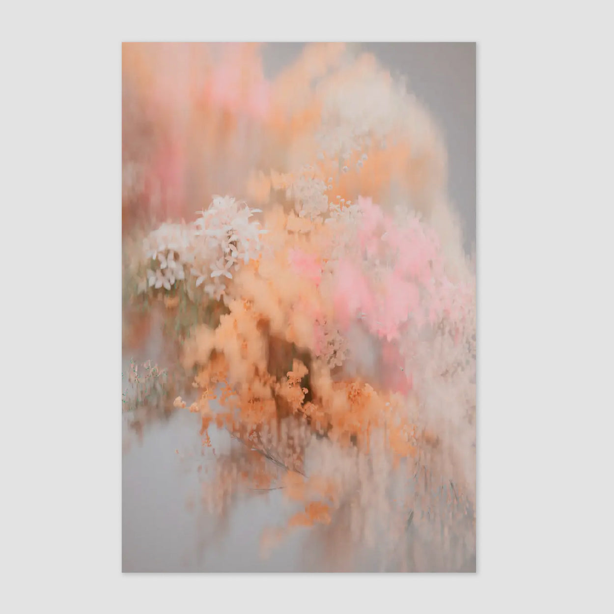 Pollination of Hortensia Carpet
