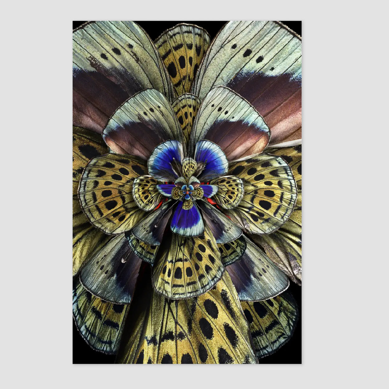 Mimesis Carpet