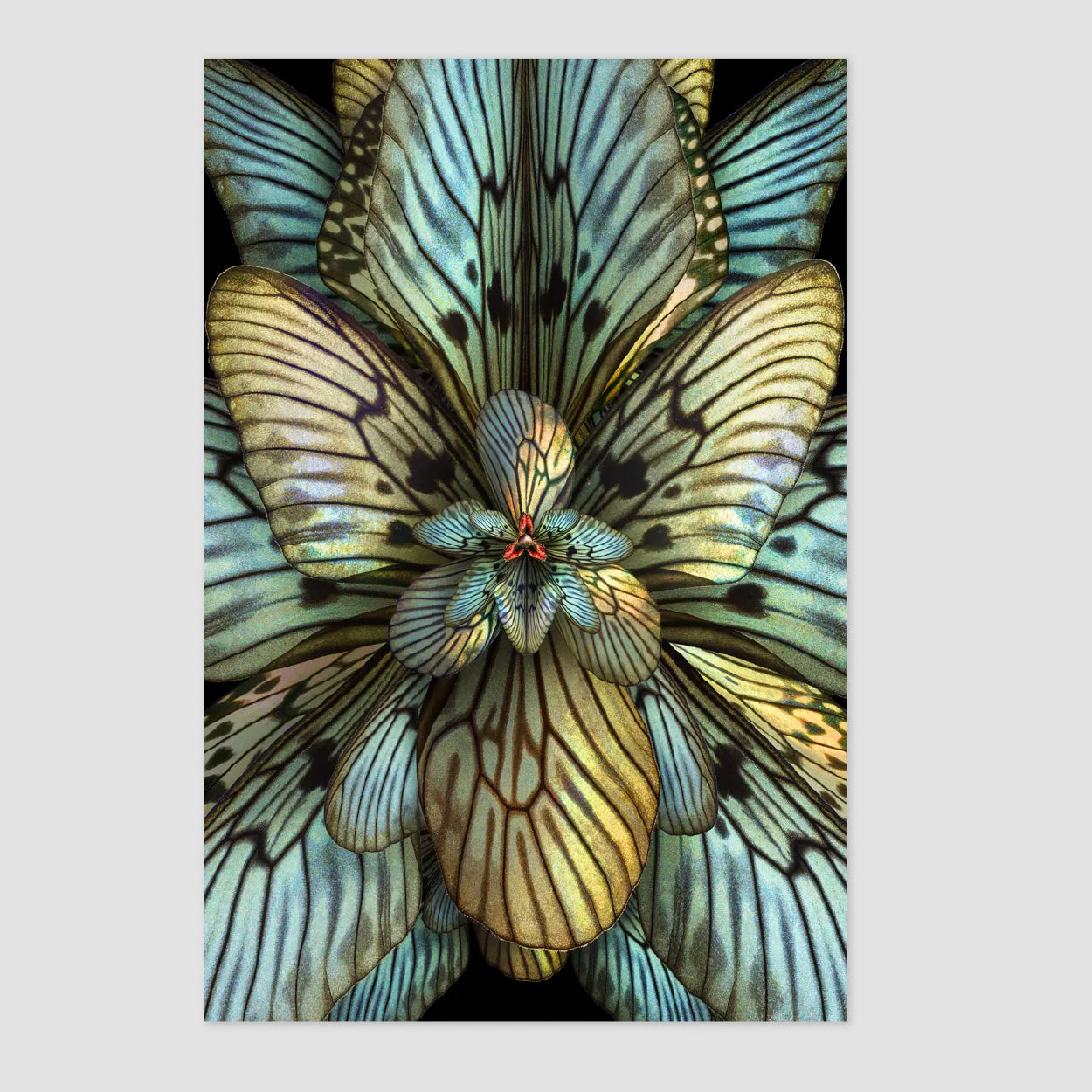 Mimesis Carpet