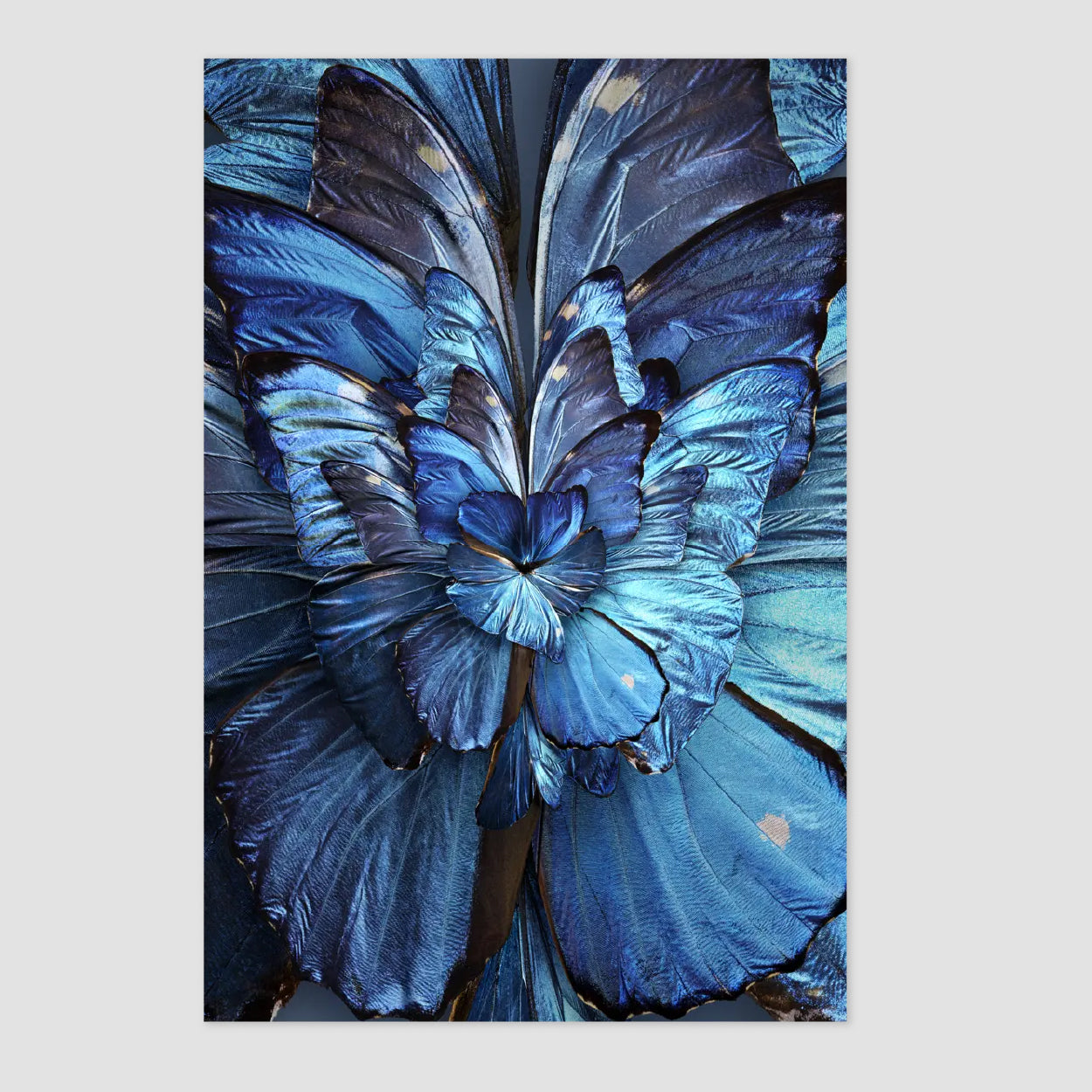 Mimesis Carpet