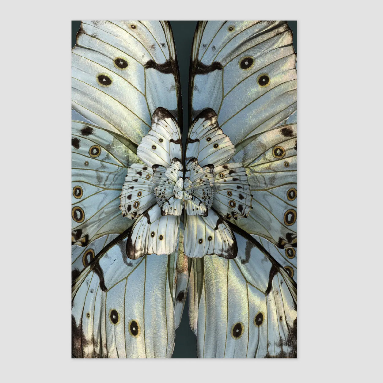 Mimesis Carpet