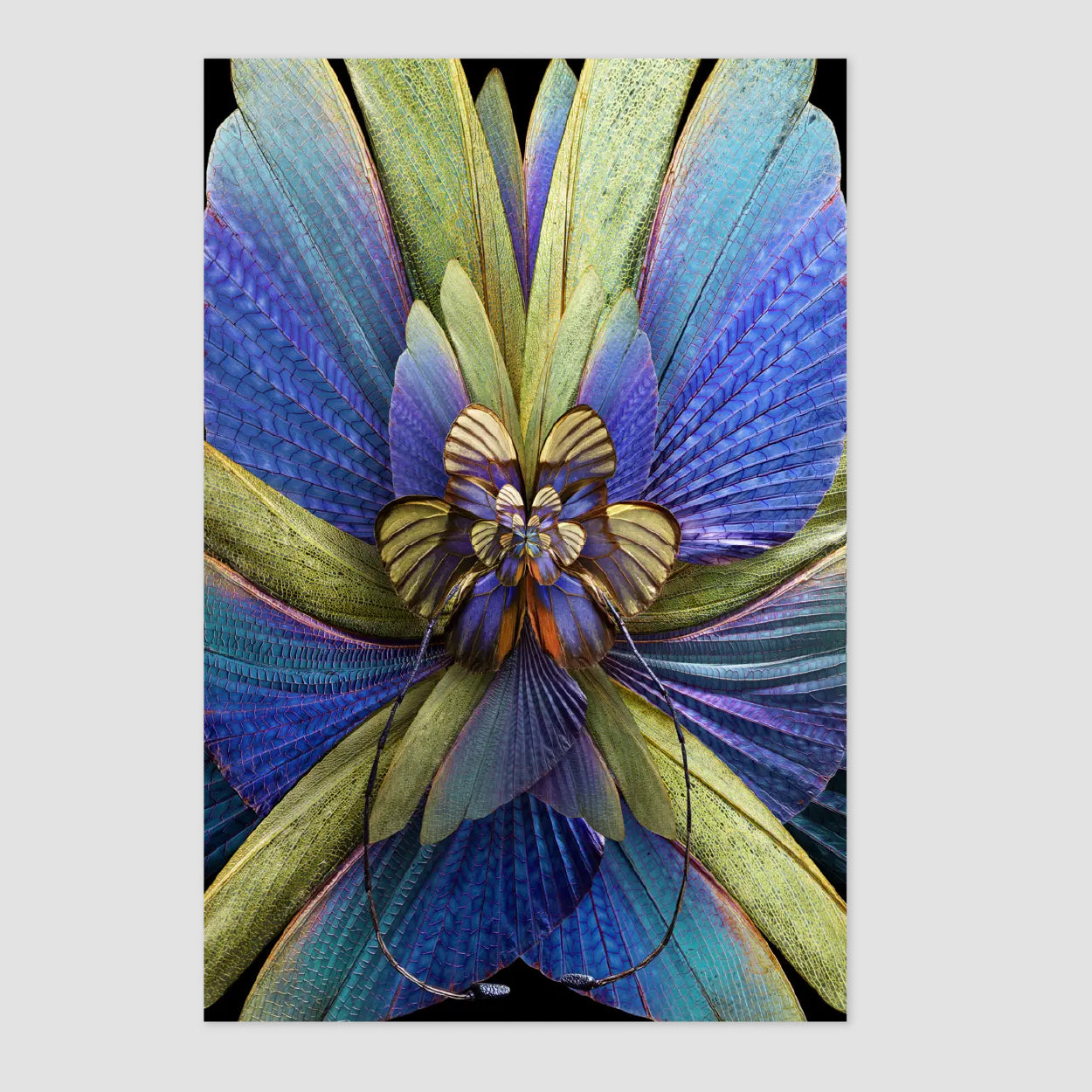 Mimesis Carpet